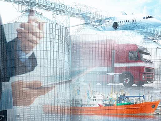 Multi-domain Simulation